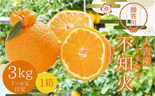 【贈答用】人吉産 不知火 (しらぬい) 3kg フルーツ 果物 くだもの 柑橘 デコポン でこぽん お取り寄せ【2025年12月下旬発送予定】熊本県人吉市13000果物・フルーツみかん・柑橘類