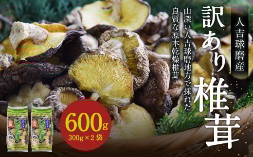 人吉球磨産 しいたけ 訳あり 『業務用椎茸』 300g×2袋【計600g】 干し椎茸 干ししいたけ 乾椎茸熊本県人吉市15000調味料・油だし