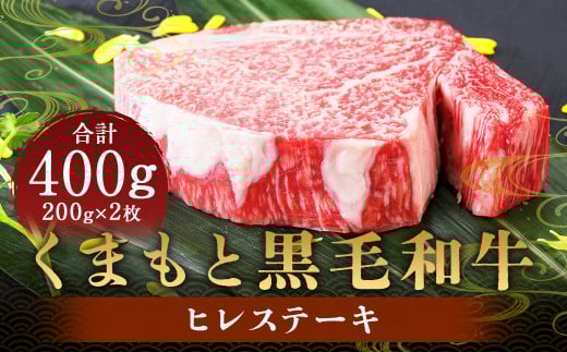 くまもと 黒毛和牛 ヒレステーキ 400g (200g×2枚) 肉 牛肉 お肉 ヒレ ステーキ ステーキ用 和牛 国産牛 冷凍 国産 九州産 熊本県産熊本県人吉市46000肉牛肉