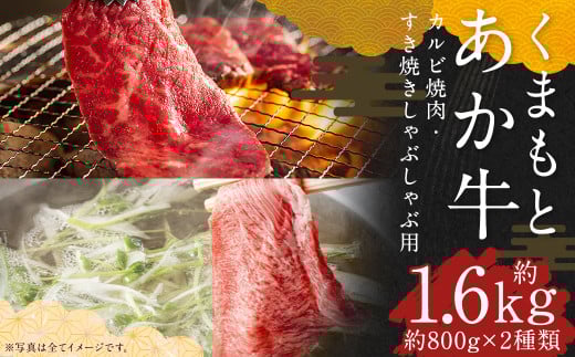 くまもとあか牛 カルビ焼肉用 約800g・すきやきしゃぶしゃぶ用 約800g 合計約1.6kg 国産牛 牛 牛肉 肉 和牛 赤牛 焼肉 カルビ すき焼き 熊本県 人吉市熊本県人吉市47000肉牛肉
