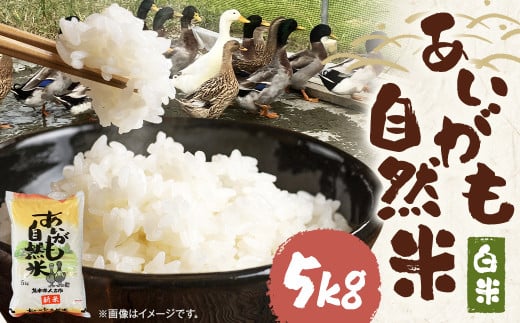 【令和6年産】栽培期間中農薬・化学肥料不使用の合鴨米(白米)「あいがも自然米」5kg 米 お米 こめ 合鴨米 白米 ご飯 精米 熊本 熊本県 人吉 九州 国産 常温 【2025年11月下旬までに発送予定