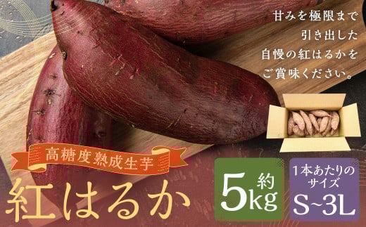 【Sサイズ】熊本県産 熟成高糖度 紅はるか 熟成生芋5kg さつま芋 さつまいも 芋 野菜 焼芋 特産品 国産 熊本県 人吉市 九州 常温 ふるさと納税熊本県人吉市10000野菜・きのこじゃがいも・イモ