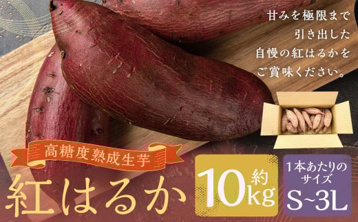 【3Lサイズ】熊本県産 熟成高糖度 紅はるか 熟成生芋10kg さつま芋 さつまいも 芋 野菜 焼芋 特産品 国産 熊本県 人吉市 九州 常温 ふるさと納税熊本県人吉市14000野菜・きのこじゃがいも・イ