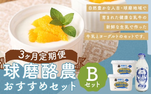 【3ヶ月定期便】球磨酪農おすすめセットB(瓶牛乳&ヨーグルト加糖×2個) 瓶牛乳900ml×1個×3回 ヨーグルト加糖1kg×2個×3回 合計約8.7kg 瓶牛乳 球磨のめぐみ 球磨の恵み ヨーグルト 冷蔵 乳製