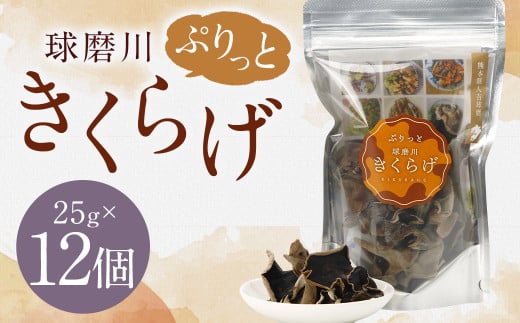 新発売!人吉球磨産の『ぷりっと球磨川きくらげ』25g×12ヶセット きくらげ キクラゲ 木耳 乾燥きくらげ 国産熊本県人吉市23000野菜・きのこきのこ