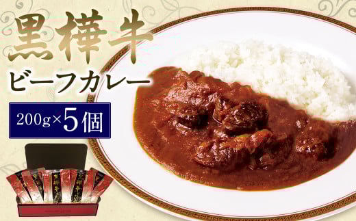 黒樺牛 ビーフカレー 200g×5個熊本県人吉市20000鍋セット・総菜・加工食品総菜