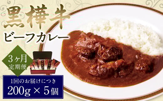 【3ヶ月定期便】黒樺牛ビーフカレー200g×5パック熊本県人吉市58000肉牛肉