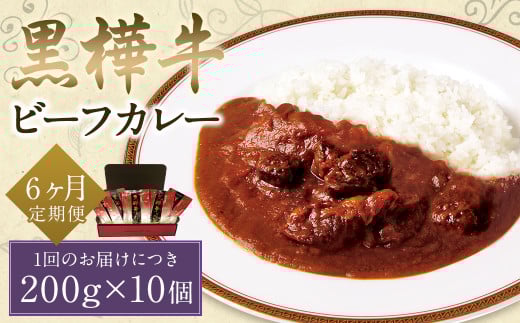 【6ヶ月定期便】黒樺牛ビーフカレー200g×10パック熊本県人吉市231000肉牛肉
