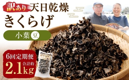 【6ヶ月定期便】 【訳あり】 天日乾燥 きくらげ 「小葉 (豆)」 50g×7パック 計350g (合計約2.1kg) 6回定期便 訳アリ 理由あり わけあり キクラゲ 木耳 乾燥きくらげ 乾燥キクラゲ 乾燥木耳