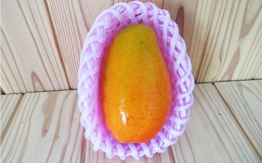 人吉市産 マンゴー 2〜3玉 (約1.5kg) まんごー 果物 フルーツ くだもの デザート スイーツ 果肉 果汁 南国フルーツ トロピカルフルーツ 国産マンゴー 国産フルーツ 熊本県 人吉市 常温 【2026