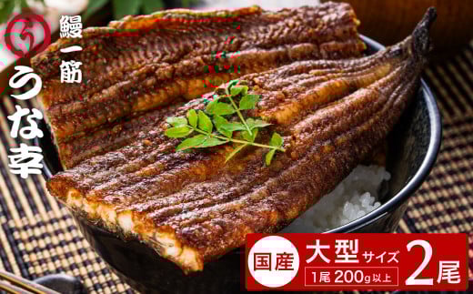 鰻一筋「うな幸」のふわとろ蒲焼き【“国産”特大2本入り】たれ付き兵庫県豊岡市34000魚介・海産物うなぎ