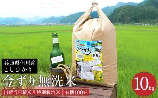 無洗米 10kg(白米)コシヒカリ お米 今ずり米 兵庫県但馬産兵庫県豊岡市22000米・パン無洗米