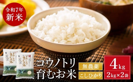 令和7年産 新米 無農薬 米 4kg コウノトリ育むお米 新米 但馬産 こしひかり 兵庫県産(2kg×2袋)(94-001)無農薬 お米 4キロ 精米 白米 コウノトリ米 コシヒカリ 農薬不使用 特別栽培米 新米 予