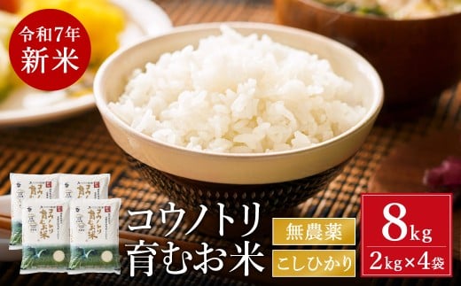 令和7年産 新米 無農薬 米 8kg コウノトリ育むお米 新米 但馬産 こしひかり 兵庫県産(2kg×4袋)(94-001)無農薬 お米 8キロ 精米 白米 コウノトリ米 コシヒカリ 農薬不使用 特別栽培米 新米 予