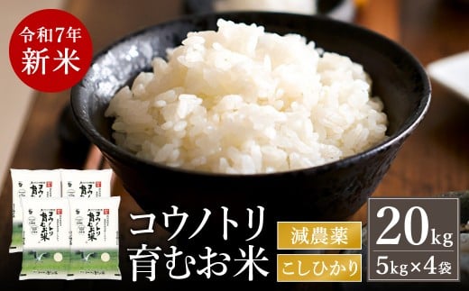 令和7年産 新米 減農薬 米 特別栽培米 20kg コウノトリ育むお米 但馬産 こしひかり 兵庫県産(5kg×4袋)(94-004)減農薬 お米 20キロ 精米 白米 コウノトリ米 コシヒカリ 新米 コメ こめ ご飯 ラ
