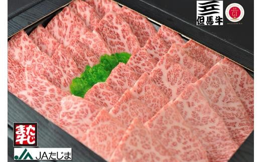 但馬牛 焼肉用 霜降り部位 500g / 牛肉 焼肉 霜降り 赤身 但馬牛 黒毛和牛 和牛 国産牛 焼き肉 牛 肉 やきにく 【JAたじま 肉の店本店】兵庫県豊岡市33000肉牛肉