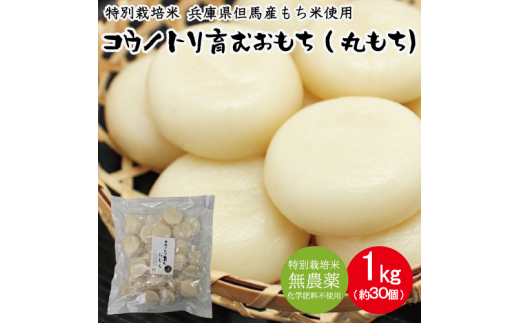 コウノトリ育むおもち 1kg(約30個入り)/ 無添加 丸餅 切り餅 個包装 特別栽培米 無農薬 化学肥料不使用 但馬産 添加物不使用 常温保存 国産 おもち お餅 餅 まる餅 白餅 焼き餅 雑煮 お正月