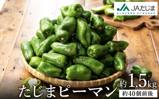 関西有数のピーマン産地!濃い緑で肉厚! たじまピーマン 約1.5kg兵庫県豊岡市5500野菜・きのこその他 野菜