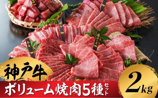 神戸牛 ボリューム焼肉セット 肩ロース 肩 モモ バラ 赤身角切り(2kg:200g×5種×2パック)【帝神志方ミート】兵庫県豊岡市54000肉牛肉