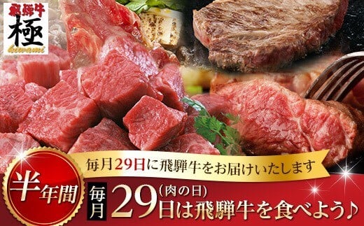 飛騨牛極 定期便 毎月29日(肉の日) 飛騨牛を食べよう!半年バージョン  牛肉 和牛 飛騨市推奨特産品 【ごちそう】 贅沢飛騨牛岐阜県飛騨市260000肉牛肉