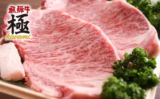 飛騨牛 サーロインステーキ 1枚 牛肉 和牛飛騨市推奨特産品岐阜県飛騨市20000肉牛肉