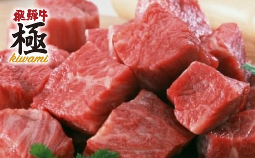 飛騨牛 サイコロステーキセット 希少部位入り福袋 総重量1200g (1.2kg) 牛肉 和牛 肉 飛騨牛 ステーキ 飛騨牛 切り落とし 飛騨市推奨特産品 岐阜県 飛騨市岐阜県飛騨市50000肉牛肉