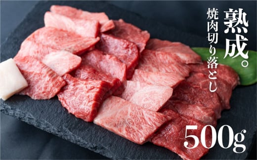 「山勇牛」焼肉用 切落し 切り落とし 500g 牛肉 和牛 飛騨牛 肉 稀少部位 焼き肉 冷凍 飛騨市 高評価岐阜県飛騨市38000肉牛肉