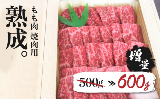 飛騨牛 もも 焼肉用 600g 牛肉 和牛岐阜県飛騨市30000肉牛肉