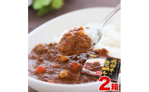 飛騨牛の極旨カレー 2食入り×2箱岐阜県飛騨市15000鍋セット・総菜・加工食品総菜