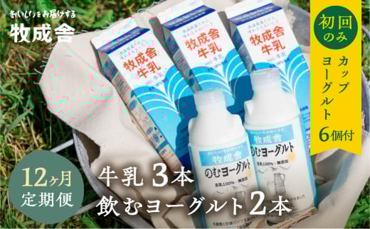 飛騨産生乳100%で作る低温殺菌牛乳&無添加飲むヨーグルト12か月定期お届け岐阜県飛騨市120000卵・乳製品牛乳・乳飲料