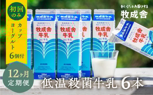 低温殺菌牛乳 6本×12カ月 定期便 牧成舎のこだわり牛乳 初回のみカップヨーグルト付岐阜県飛騨市120000卵・乳製品牛乳・乳飲料