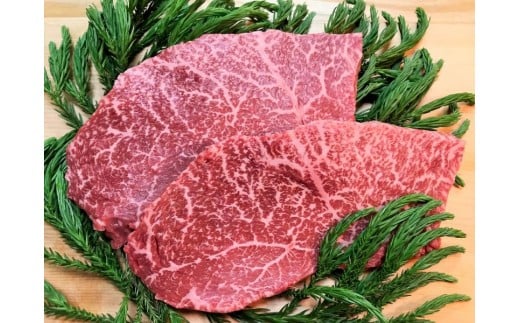 飛騨牛 5等級 ランプステーキ 2枚  牛肉 和牛 飛騨市推奨特産品 古里精肉店岐阜県飛騨市33000肉牛肉