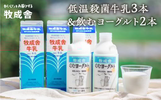 牧成舎 低温殺菌牛乳 3本 無添加 飲むヨーグルト 2本 飛騨産生乳100%使用 飛騨市 国産 牛乳岐阜県飛騨市10000卵・乳製品牛乳・乳飲料