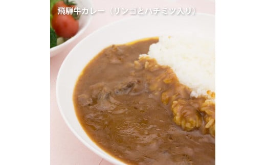 りんごとはちみつ入り飛騨牛カレー 1袋×20 (20食)飛騨市岐阜県飛騨市60000鍋セット・総菜・加工食品総菜