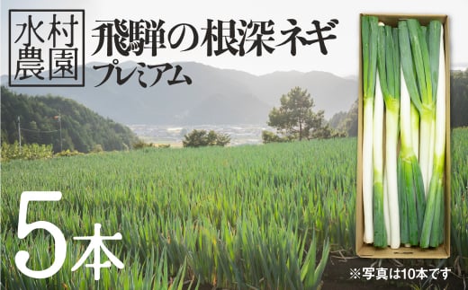 《令和7年産先行予約》 水村農園 飛騨の根深ネギ プレミアム ねぎ 5本 飛騨産野菜 旬の野菜 野菜 ネギ 産地直送 syun81岐阜県飛騨市10000野菜・きのこ玉ねぎ・ねぎ