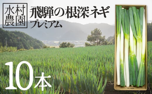 《令和7年産先行予約》水村農園 飛騨の根深ネギ プレミアム ねぎ 10本 飛騨産野菜 旬の野菜 野菜 ネギ 産地直送 国産 syun82岐阜県飛騨市15000野菜・きのこ玉ねぎ・ねぎ