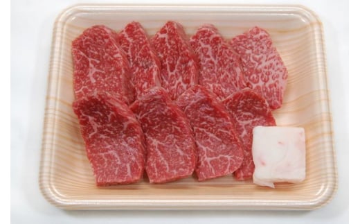 飛騨市産 5等級飛騨牛 ミニステーキ用 300g ギフト 贈答用岐阜県飛騨市24000肉牛肉