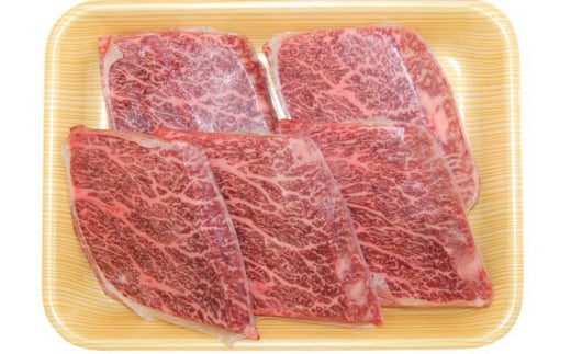飛騨市産 5等級飛騨牛 希少部位ステーキ用 500g ギフト 贈答用岐阜県飛騨市47000肉牛肉