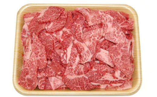 【訳あり】飛騨市産 5等級飛騨牛 盛り合わせパック ごちゃまぜ ミックス 800g岐阜県飛騨市45000肉牛肉