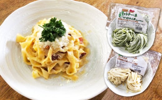 飛騨の生パスタ フィットチーネセット プレーン ほうれん草 2種類 みやぎ製麺所 飛騨産ほうれん草岐阜県飛騨市12000麺パスタ