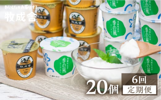 《定期便》牧成舎 ヨーグルト20個セット 6ヶ月定期便 生クリームヨーグルト 季の風 2種類岐阜県飛騨市60000卵・乳製品ヨーグルト
