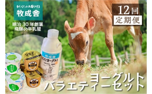 《定期便》こだわりヨーグルトセット 12回お届け 牧成舎 のむヨーグルト 生クリームヨーグルト 季の風 12個セット岐阜県飛騨市120000卵・乳製品ヨーグルト