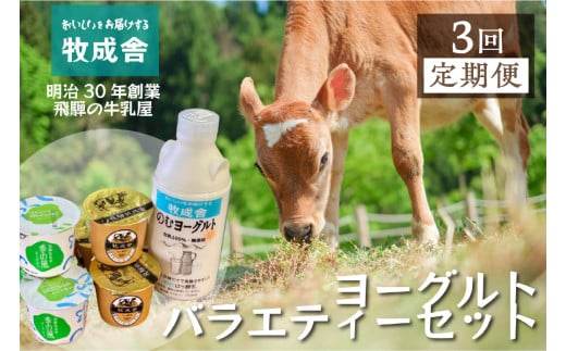 《定期便》こだわりヨーグルトセット 3回お届け 牧成舎 のむヨーグルト 生クリームヨーグルト 季の風 12個セット岐阜県飛騨市30000卵・乳製品ヨーグルト