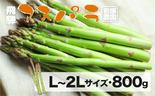 s2026N s\tˎY`AXpKXi2026N5{`8j L ` 2L TCY 800g ˔_ AXp  { t   BBQ  ς ₳ 10000~ ς炪 syun69