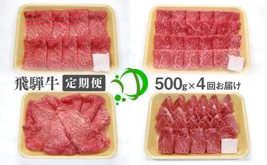 《定期便》飛騨市産 飛騨牛 4回お届け 4ヶ月 焼肉 すき焼き しゃぶしゃぶ ミニステーキ 500g 5等級岐阜県飛騨市154000肉牛肉