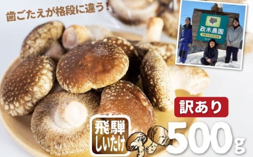 《先行予約》【11月上旬〜3月下旬】訳あり しいたけ 計500g 政木農園 しいたけ シイタケ 椎茸 飛騨 不揃い サイズバラバラ 簡易包装 鍋 天ぷら バーベキュー岐阜県飛騨市5000野菜・きのこき