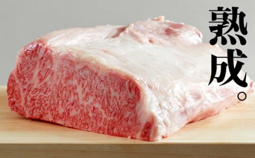 飛騨牛 シャトーブリアンブロック 500g 熟成肉『山勇牛』 牛肉 和牛岐阜県飛騨市160000肉牛肉