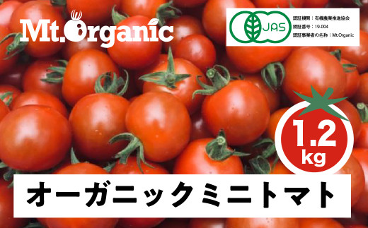 【先行予約 令和8年産】オーガニック ミニトマト 約1.2kg 有機JAS認証 syun1 令和8年産 トマト 飛騨市岐阜県飛騨市10000野菜・きのこトマト