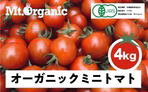 【先行予約 令和8年産】2026年 オーガニック ミニトマト 約4kg 有機JAS認証 syun2 飛騨市岐阜県飛騨市32000野菜・きのこトマト