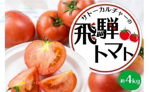 《令和7年産先行予約》飛騨トマト 約4kg(20−28玉)産地直送 野菜 とまと トマト 麗月 夏野菜 やさい サトーカルチャー  syun22岐阜県飛騨市12000野菜・きのこトマト
